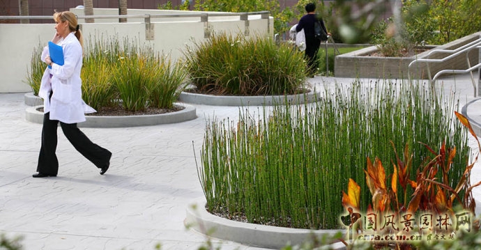 美國南加州大學(xué)LAC+USC醫(yī)學(xué)中心