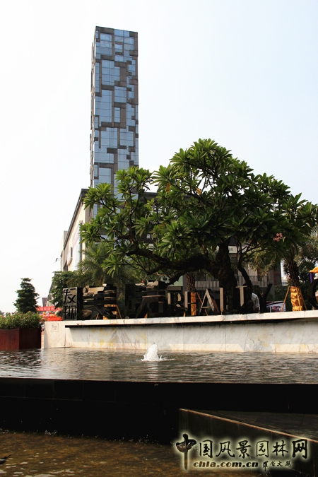 山水比德 發現美院