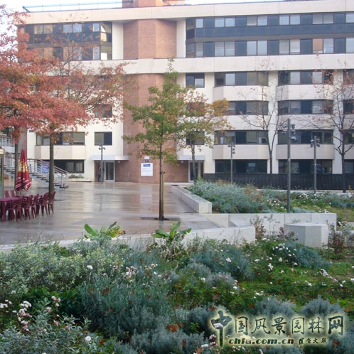 市中心公共空間