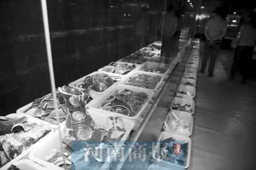 館內藏品很豐富