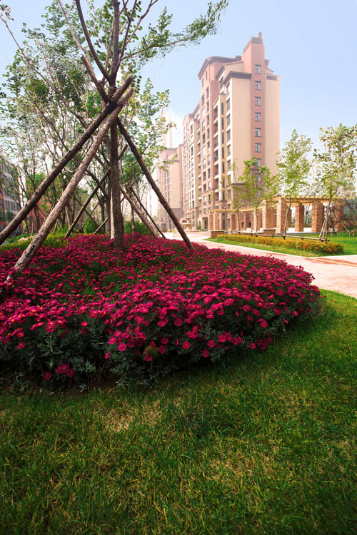 易德地景 魯旸 景觀設(shè)計 信達理想城