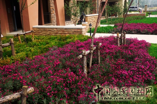 易德地景 魯旸 景觀設(shè)計 信達理想城