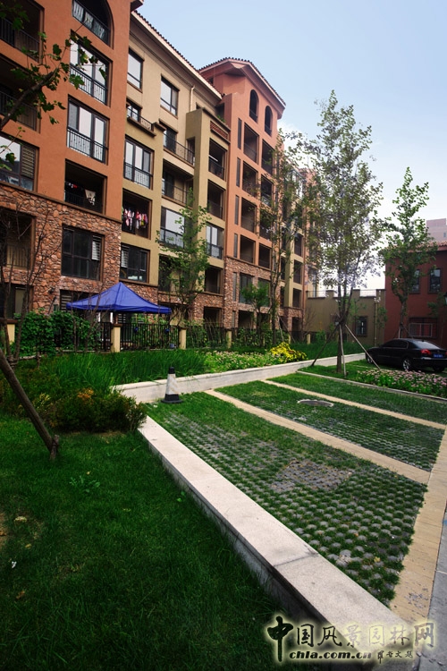 易德地景 魯旸 景觀設(shè)計 信達理想城