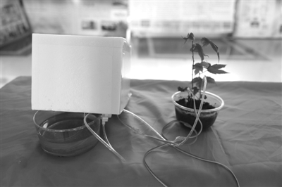 東北林大學(xué)生發(fā)明