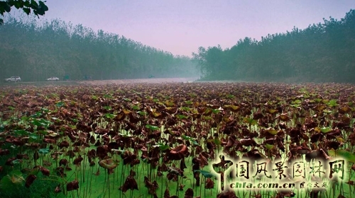 笛東 袁松亭 景觀設計 景觀規劃