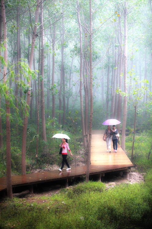 笛東 袁松亭 景觀設計 景觀規劃