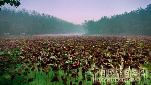 笛東 袁松亭 景觀設計 景觀規劃
