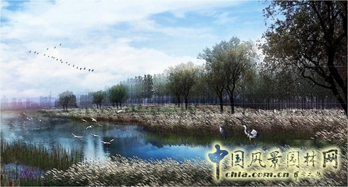 笛東 袁松亭 景觀設計 景觀規劃