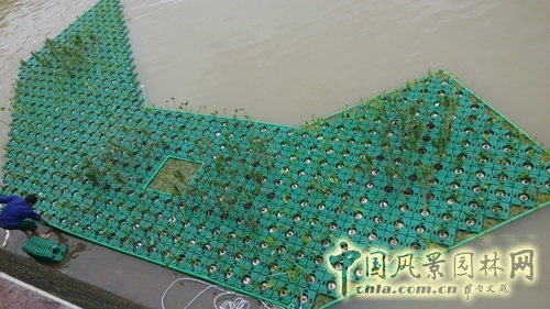 杭州園林 景觀型 生態浮床