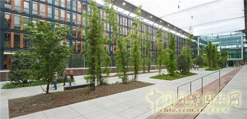 德國(guó)科隆Rheinpark-Metropole辦公空間景觀設(shè)計(jì)