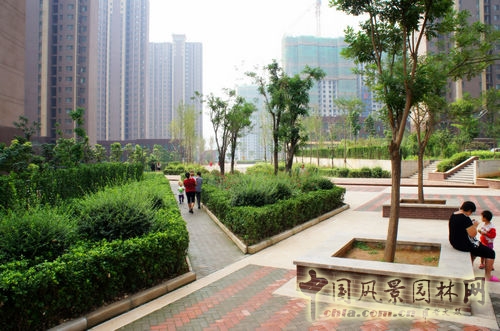 景觀設(shè)計(jì) 唐冶七村 安置房項(xiàng)目