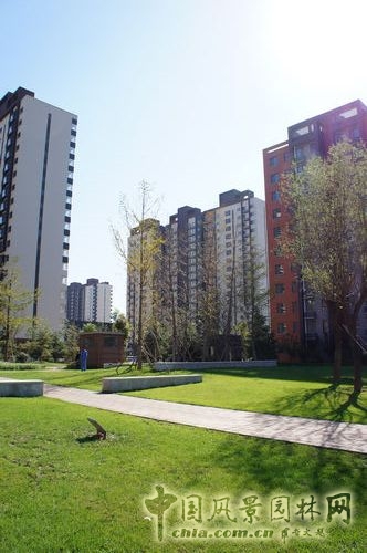 天鴻萬象 景觀設(shè)計(jì) 居住區(qū)設(shè)計(jì) 規(guī)劃設(shè)計(jì)