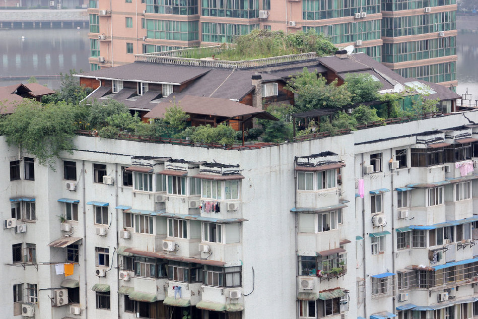 武漢居民樓頂藏“空中花園”