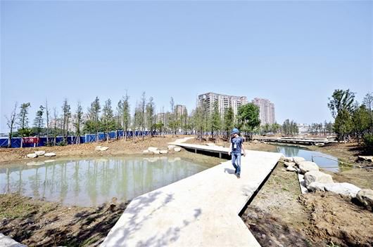 杉杉濕地景點初現雛形