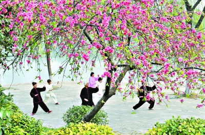 西北湖畔花繁葉茂,成為周邊居民休閑鍛煉的好去處