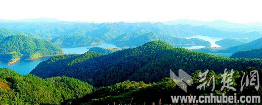 俯瞰庫區(qū)一角。