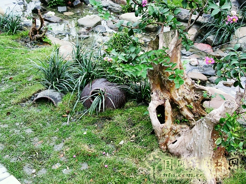 諧苑 花漫錢塘 浙江園 花博會