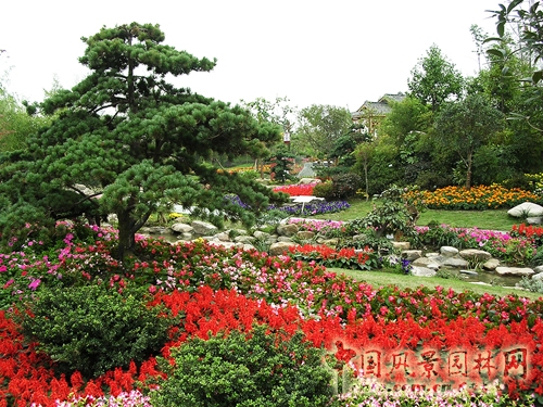 諧苑 花漫錢塘 浙江園 花博會