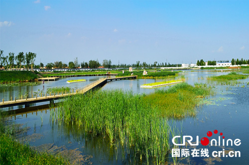 山東夏津九龍口濕地：打造“城市之腎”