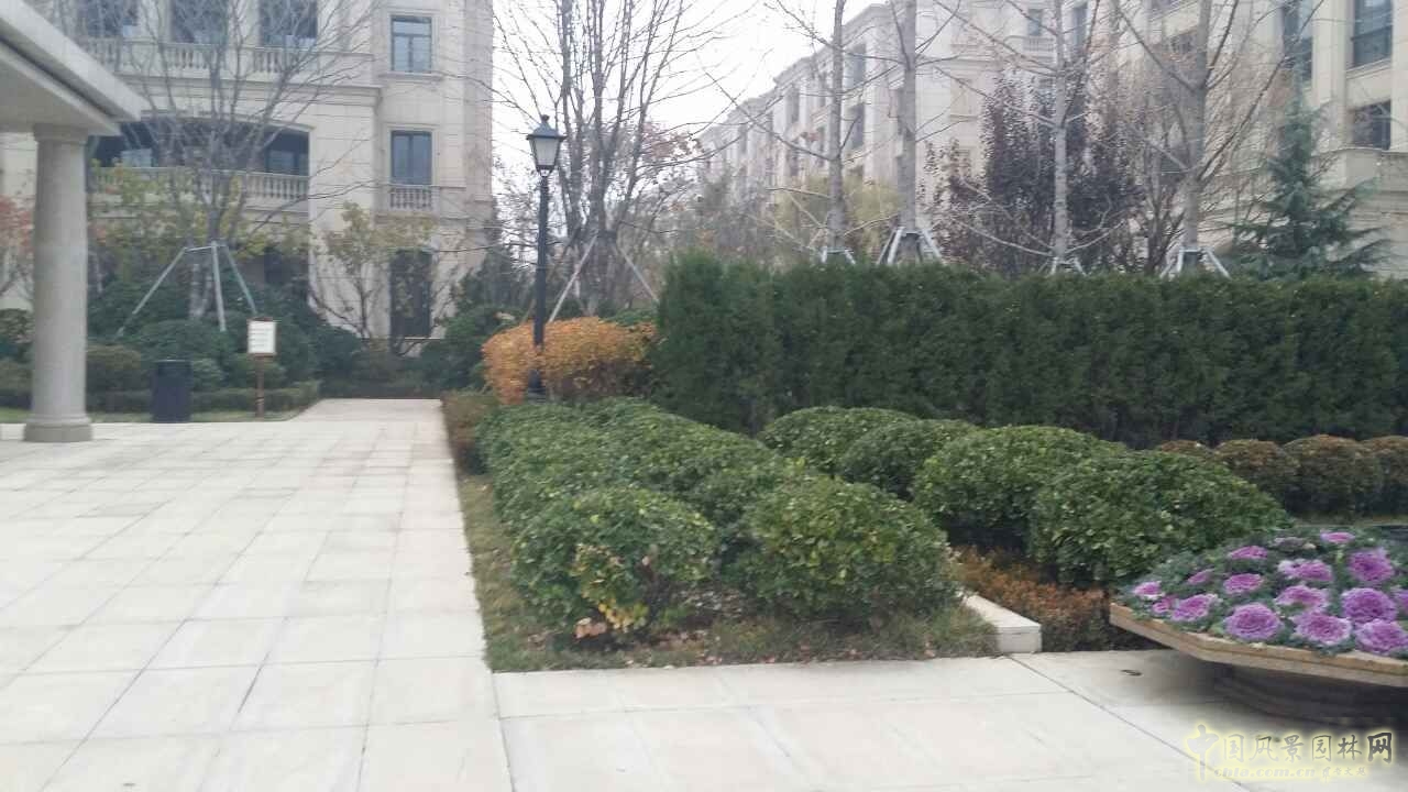 園冶杯 住宅景觀獎(jiǎng) 遠(yuǎn)洋鉆石灣 景觀園林