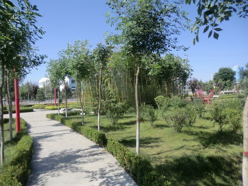 永壽縣美井湖公園