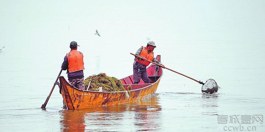 滇池 公眾保護濕地意識 生態補償 滇池保護費