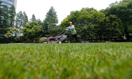 上海綠道 綠地公園 市容管理 綠道規劃