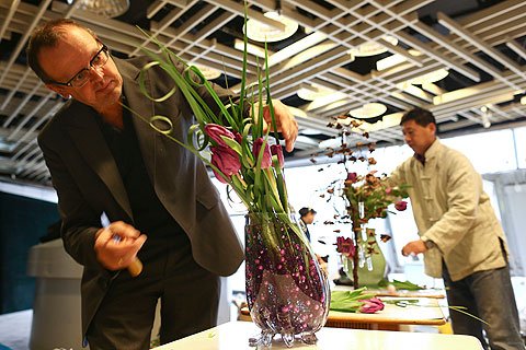 國泰”郁金香下周將在北京植物園展出