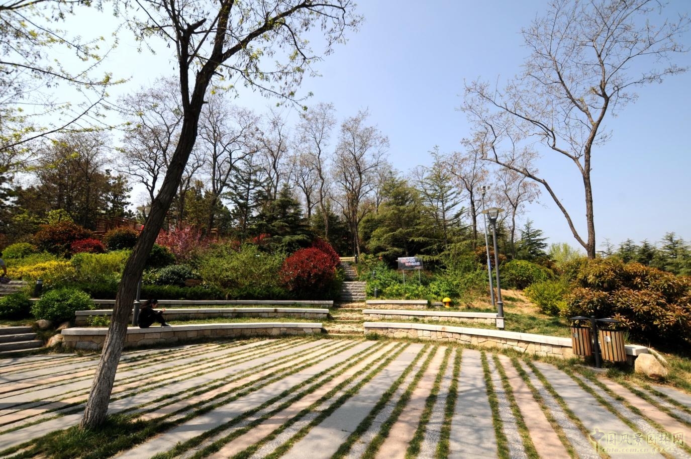 綠蔭平臺(tái)實(shí)景