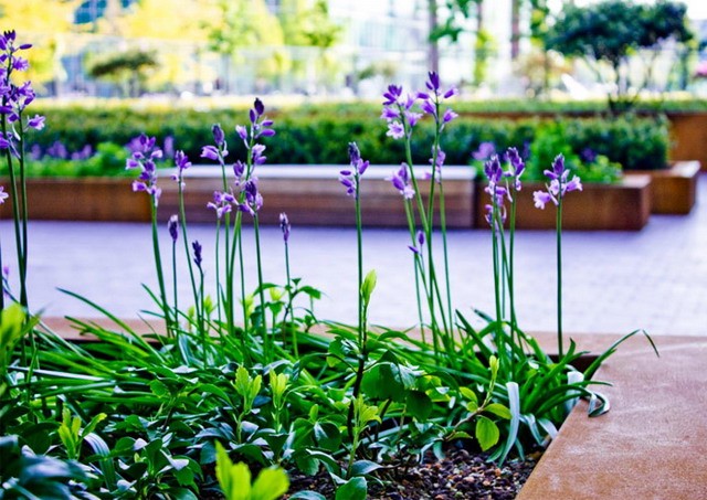 盤點那些驚艷的廣場景觀設計