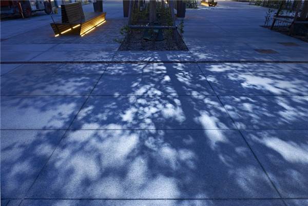 瑞典:馬爾默城市“森林”廣場