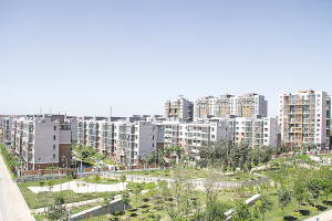 天津:張家窩鎮(zhèn)全力打造生態(tài)綠化