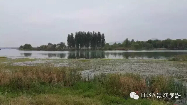 關(guān)于舉辦濕地公園案例項(xiàng)目考察的邀請函