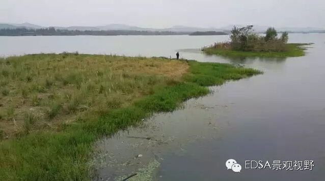 關(guān)于舉辦濕地公園案例項(xiàng)目考察的邀請函