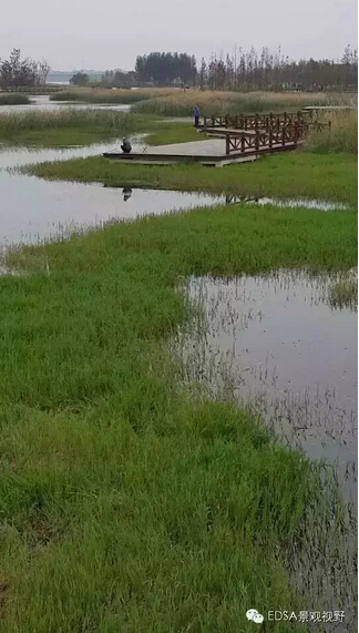 關(guān)于舉辦濕地公園案例項(xiàng)目考察的邀請函
