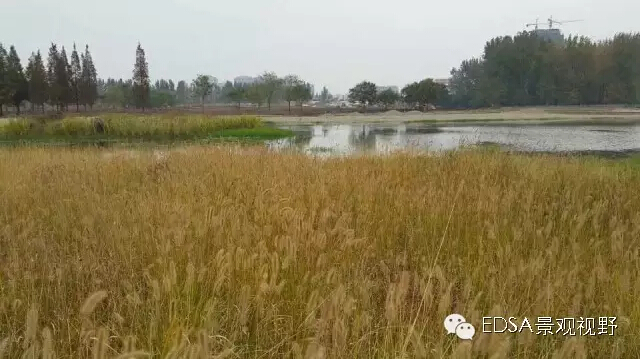 關于舉辦濕地公園案例項目考察的邀請函