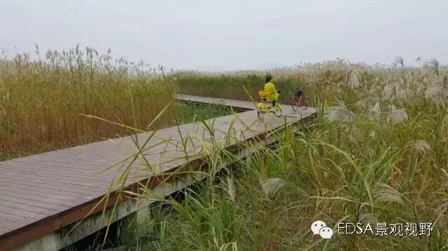 關于舉辦濕地公園案例項目考察的邀請函