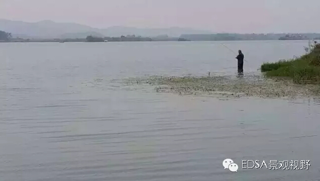 關于舉辦濕地公園案例項目考察的邀請函