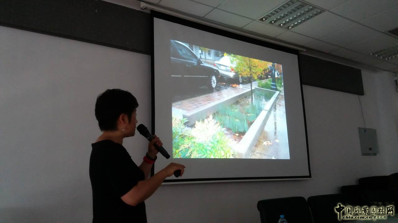 羅青:經典美國城市環境中的雨水管理設計