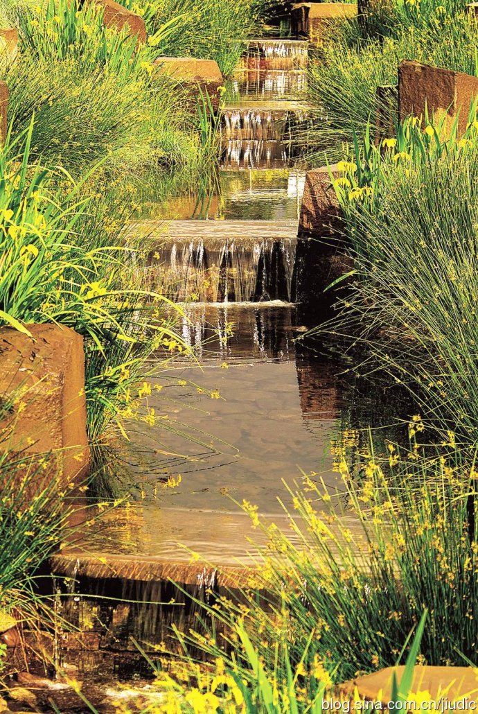 羅青:經典美國城市環境中的雨水管理設計