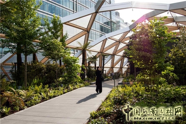 倫敦Crossrail車站屋頂花園景觀設計