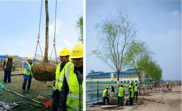 上海迪士尼是如何建造的?10大秘訣值得工程人學習!