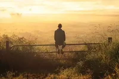 如何成為園林工程領(lǐng)域的1%