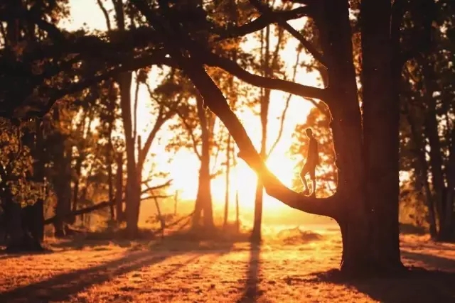 如何成為園林工程領域的1%