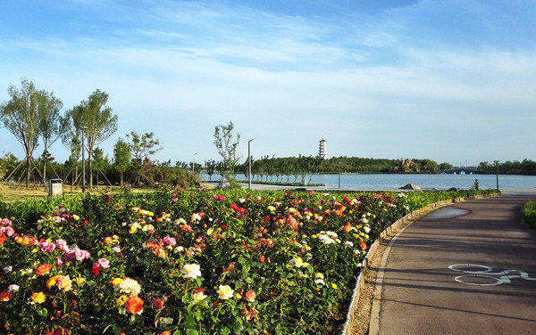 民豐湖景觀提升規劃及一期改造