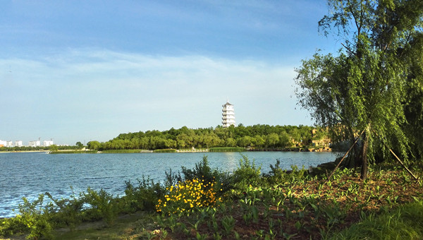 民豐湖景觀提升規劃及一期改造