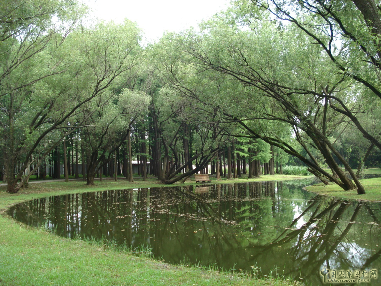 南京林業(yè)大學風景園林學院社會實踐活動（二）