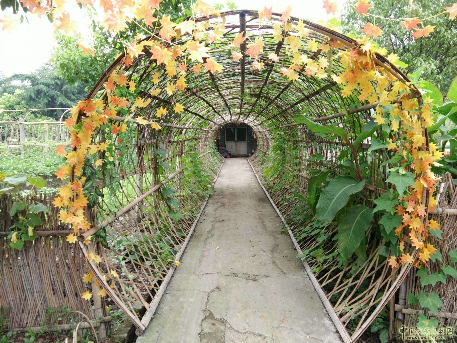 南京林業大學風景園林學院社會實踐活動(二)