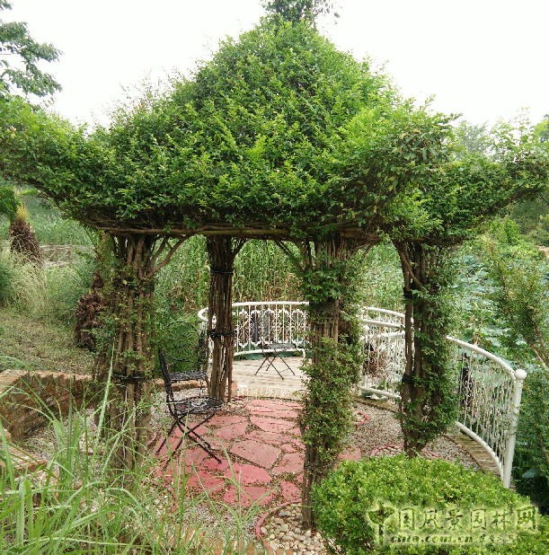 南京林業大學風景園林學院社會實踐活動(二)