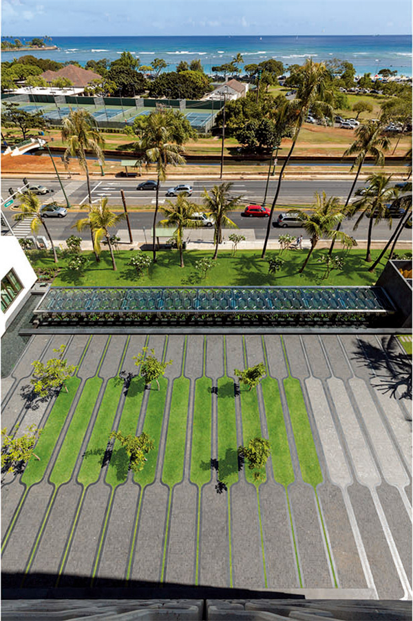 ASLA:夏威夷IBM大樓廣場設計